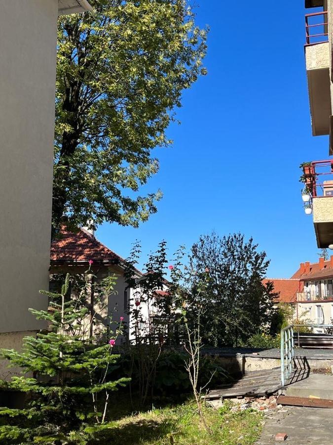 Tampa Residence Braşov Eksteriør bilde